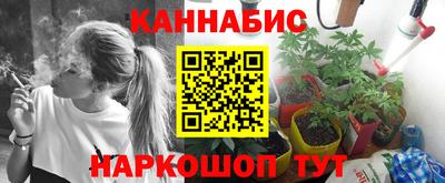 крисы Краснознаменск