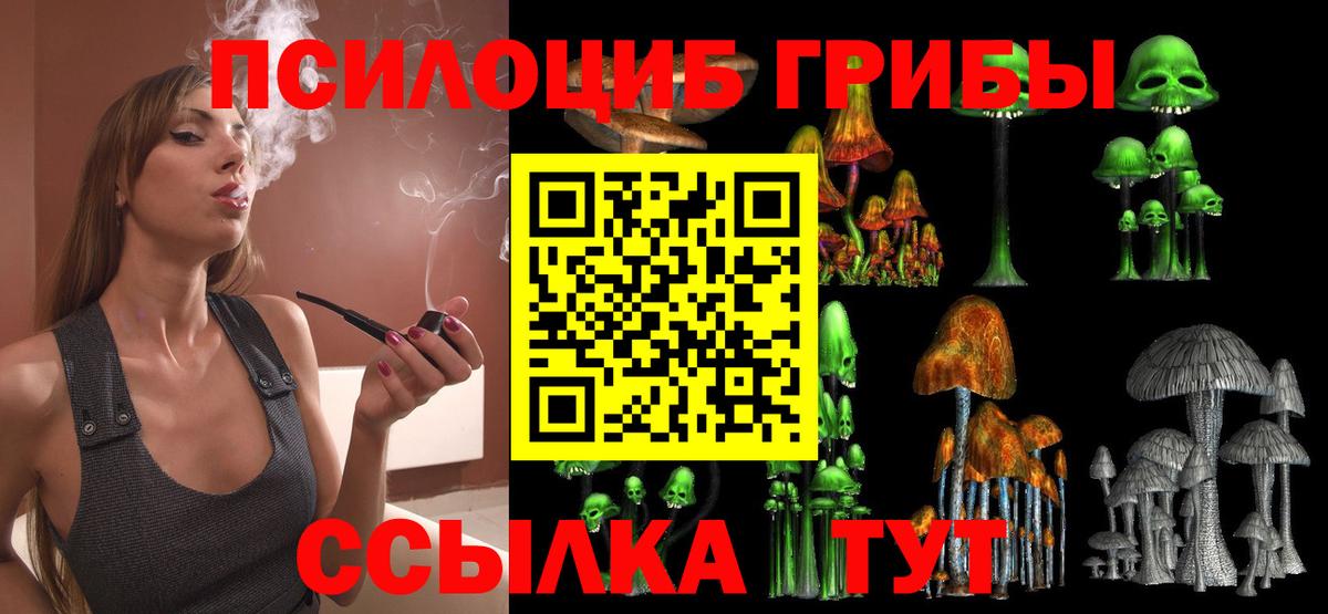 Анжеро-Судженск  Галлюциногенные грибы Psilocybe  Вход с VPN 